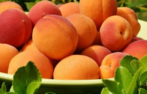 Eating for a sharp mind