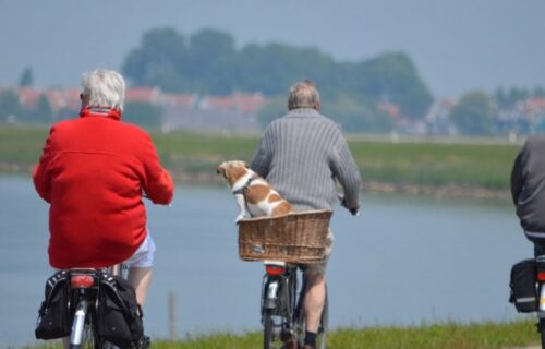 What your gut could be telling you…