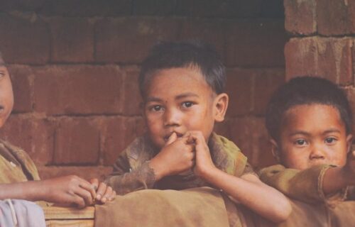 Nutrition key to human development