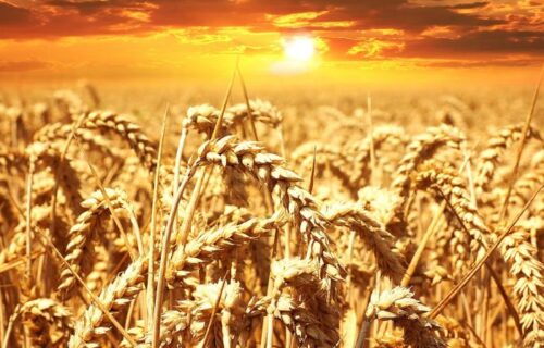 Feeling bloated after your meal?