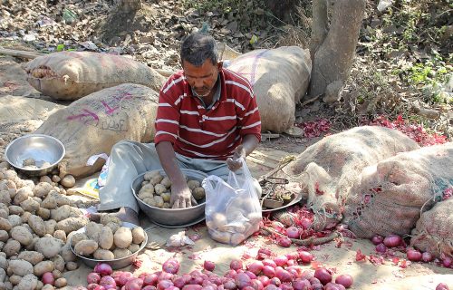 Smallholding, less nutrition-says study