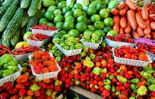 Goodness of Vegetables