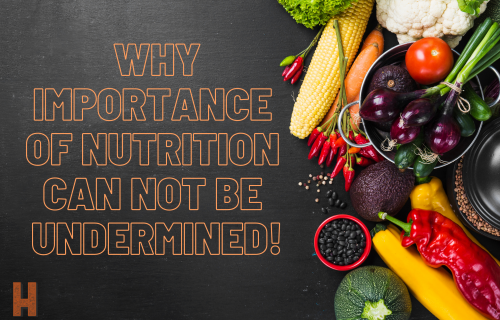 Why Importance of Nutrition Cannot Be Undermined